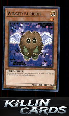 1st Edition Winged Kuriboh (Duel Terminal) HAC1-EN013 YuGiOh Duel Terminal Techn