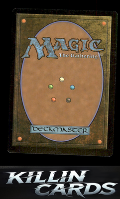 Devilthorn Fox 14 Magic C Shadows over Innistrad Card NM