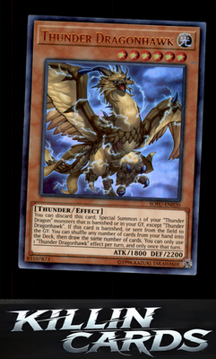 Thunder Dragonhawk SOFU-EN020 YuGiOh Ultra Rare Soul Fusion Card NM