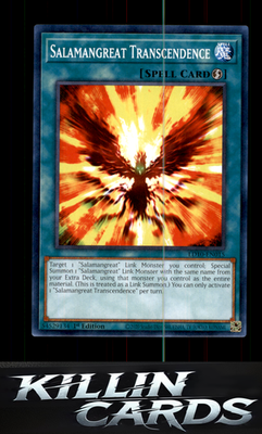 1st Edition Salamangreat Transcendence LD10-EN015 YuGiOh Common Legendary Duelis