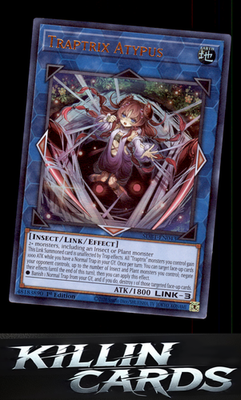 1st Edition Traptrix Atypus SDBT-EN043 YuGiOh Ultra Rare Structure Deck: Beware