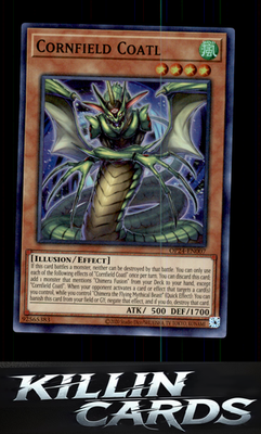Cornfield Coatl OP24-EN007 YuGiOh Super Rare OTS Tournament Pack 24 Card NM