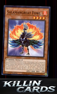 1st Edition Salamangreat Fowl LD10-EN048 YuGiOh Common Legendary Duelists: Soulb