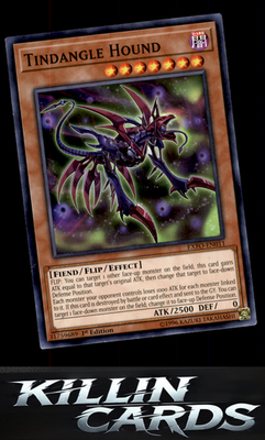 1st Edition Tindangle Hound EXFO-EN011 YuGiOh Common Extreme Force Card NM