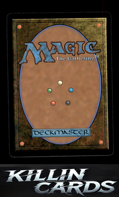 Raven Wings 243 Magic C Kaldheim Card NM