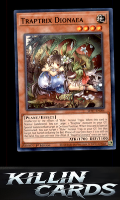 1st Edition Traptrix Dionaea SDBT-EN006 YuGiOh Common Structure Deck: Beware of