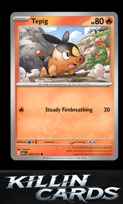 Tepig 029/217 Pokemon Common ME: Ascended Heroes Card NM