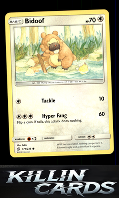 Bidoof 171/236 Pokemon Common SM - Unified Minds Card NM