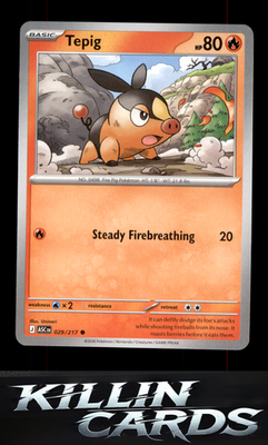 Tepig 029/217 Pokemon Common ME: Ascended Heroes Card NM