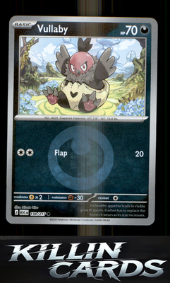 Vullaby (Energy Symbol Pattern) 138/217 Pokemon Common ME: Ascended Heroes Card