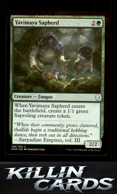 Yavimaya Sapherd 189 Magic C Dominaria Card NM