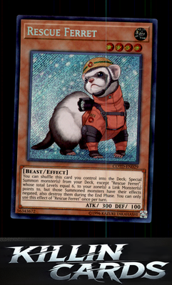 Rescue Ferret COTD-EN029 YuGiOh Secret Rare Code of the Duelist Card NM