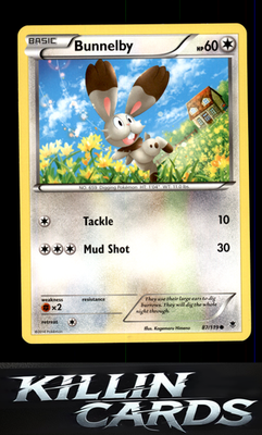 Bunnelby 87/119 Pokemon Common XY - Phantom Forces Card NM