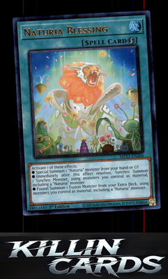 1st Edition Naturia Blessing MP23-EN204 YuGiOh Ultra Rare 25th Anniversary Tin: