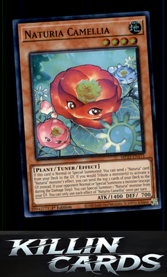 1st Edition Naturia Camellia MP23-EN171 YuGiOh Super Rare 25th Anniversary Tin: