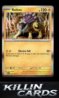 Raikou 048/132 Pokemon Rare ME01: Mega Evolution Card NM