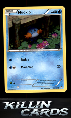 Mudkip 33/160 Pokemon Common XY - Primal Clash Card LP