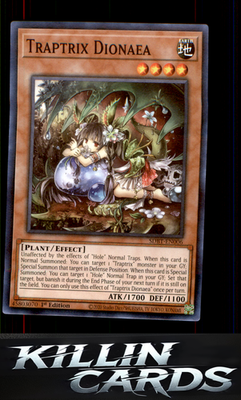 1st Edition Traptrix Dionaea SDBT-EN006 YuGiOh Common Structure Deck: Beware of