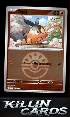 Reverse Holofoil Tepig (Friend Ball) 029/217 Pokemon Common ME: Ascended Heroes