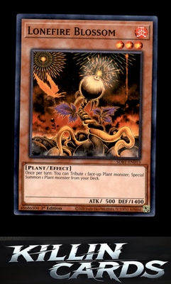 1st Edition Lonefire Blossom SDBT-EN013 YuGiOh Common Structure Deck: Beware of