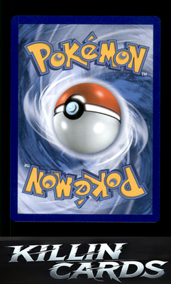 Sizzlipede 09/73 Pokemon Common Champion's Path Card NM