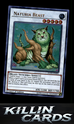 1st Edition Naturia Beast DUPO-EN091 YuGiOh Ultra Rare Duel Power Card NM