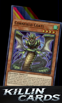 Cornfield Coatl OP24-EN007 YuGiOh Super Rare OTS Tournament Pack 24 Card NM