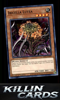 1st Edition Ibicella Lutea MP21-EN009 YuGiOh Common 2021 Tin of Ancient Battles