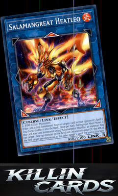 1st Edition Salamangreat Heatleo LD10-EN011 YuGiOh Common Legendary Duelists: So