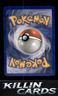Poochyena 58/108 Pokemon Common Power Keepers Card DM