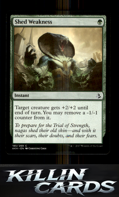 Shed Weakness 185 Magic C Amonkhet Card NM