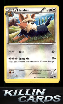 Herdier 109/146 Pokemon Uncommon XY Base Set Card NM