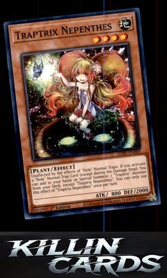 1st Edition Traptrix Nepenthes SDBT-EN005 YuGiOh Common Structure Deck: Beware o
