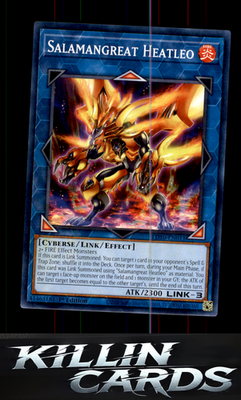1st Edition Salamangreat Heatleo LD10-EN011 YuGiOh Common Legendary Duelists: So