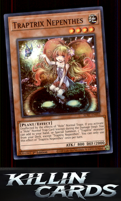 1st Edition Traptrix Nepenthes SDBT-EN005 YuGiOh Common Structure Deck: Beware o