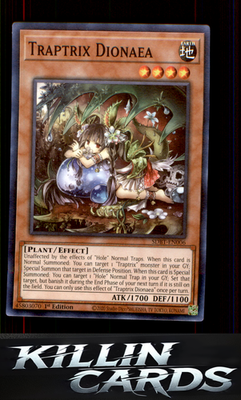 1st Edition Traptrix Dionaea SDBT-EN006 YuGiOh Common Structure Deck: Beware of