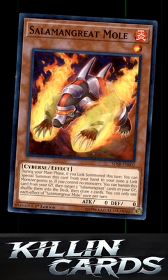 1st Edition Salamangreat Mole SDSB-EN002 YuGiOh Common Structure Deck: Soulburne