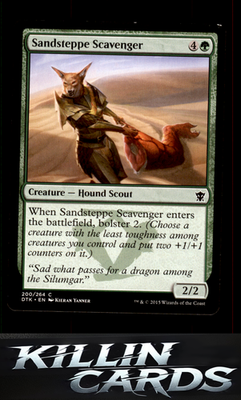 Sandsteppe Scavenger 200 Magic C Dragons of Tarkir Card NM