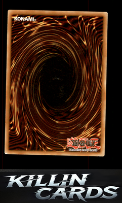 1st Edition Birthright 5DS1-EN040 YuGiOh Common 5D's 2008 Starter Deck Card NM