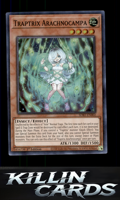 1st Edition Traptrix Arachnocampa SDBT-EN002 YuGiOh Super Rare Structure Deck: B