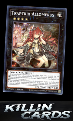 1st Edition Traptrix Allomerus SDBT-EN040 YuGiOh Common Structure Deck: Beware o