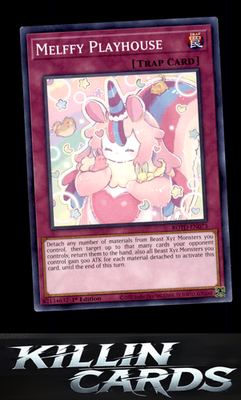 1st Edition Melffy Playhouse ROTD-EN073 YuGiOh Common Rise of the Duelist Card N