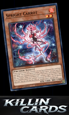 1st Edition Spright Carrot POTE-EN007 YuGiOh Common Power of the Elements Card N