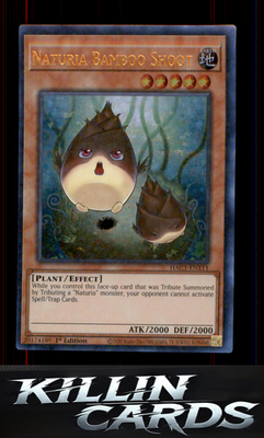 1st Edition Naturia Bamboo Shoot (Duel Terminal) HAC1-EN111 YuGiOh Duel Terminal